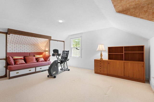 1429 20th St SW, Rochester, MN 55902 - workout room with lofted ceiling and light colored carpet
