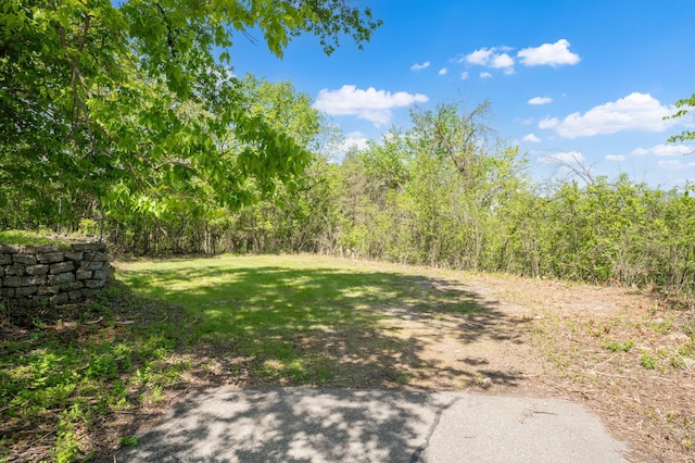 1429 20th St SW, Rochester, MN 55902 - view of yard with a wooded view