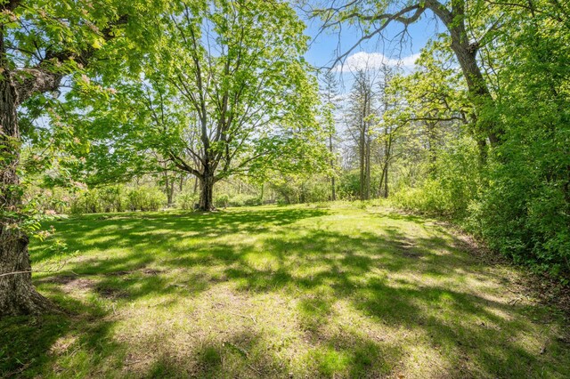 1429 20th St SW, Rochester, MN 55902 - view of green lawn
