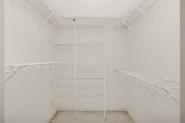 6566 France Ave S Unit 805, Edina, MN 55435 - spacious closet featuring light colored carpet