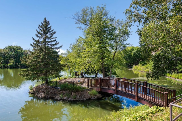 6566 France Ave S Unit 805, Edina, MN 55435 - dock featuring a water view