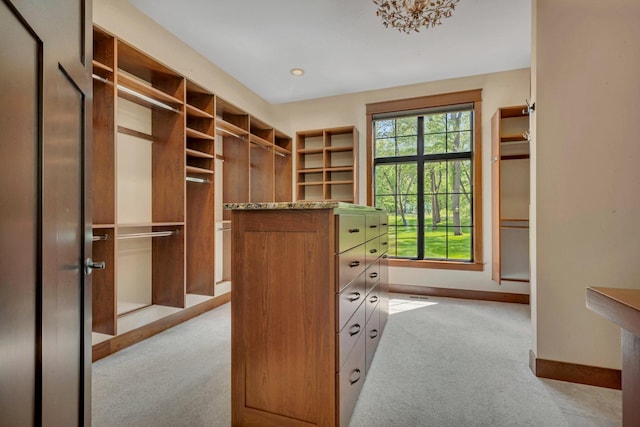 17488 Alexander Ct, Cold Spring, MN 56320 - spacious closet featuring light colored carpet