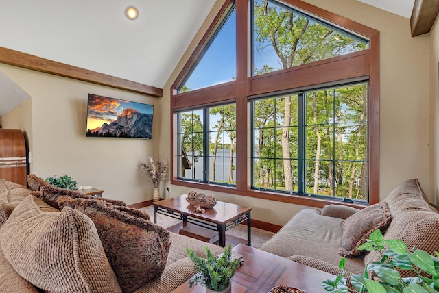 17488 Alexander Ct, Cold Spring, MN 56320 - living area with baseboards and vaulted ceiling