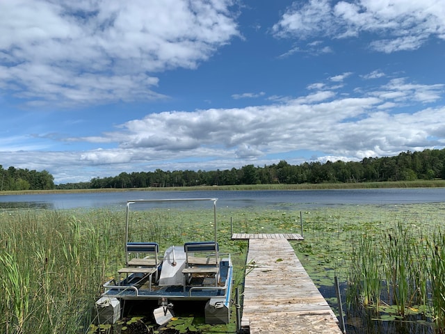 dock featuring a water view and a forest view