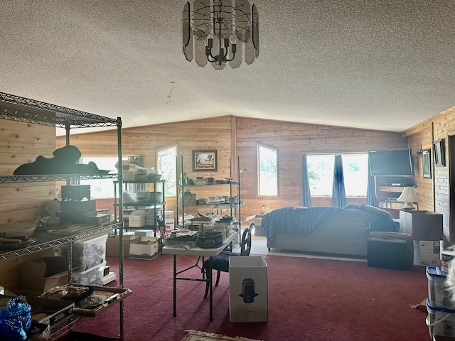 miscellaneous room featuring wood walls, vaulted ceiling, healthy amount of natural light, a textured ceiling, and carpet floors