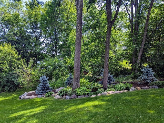 19336 Koetter Ct, Richmond, MN 56368 - photo 17