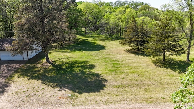 view of grassy yard