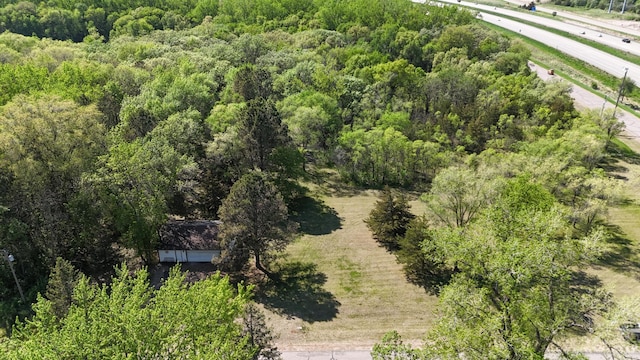 drone / aerial view of a forest