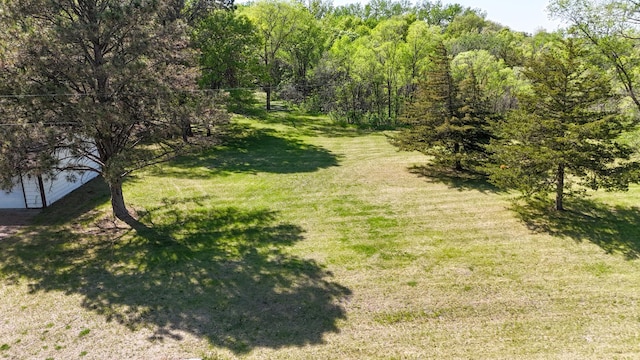 view of green lawn