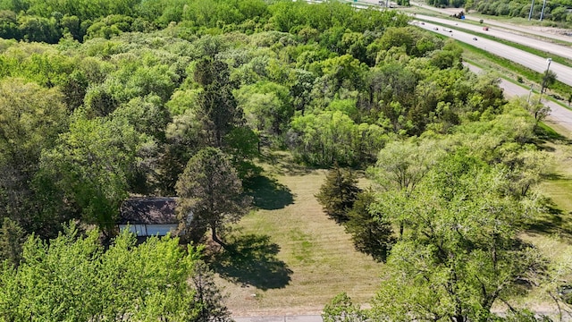 bird's eye view of a forest