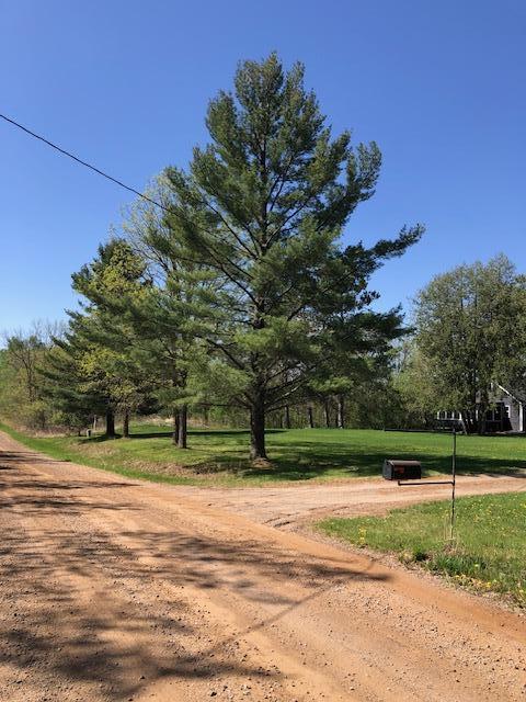 view of dirt / gravel road