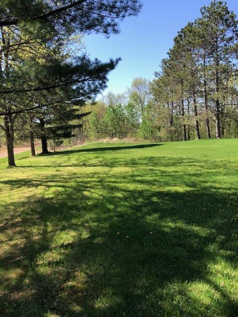 view of grassy yard