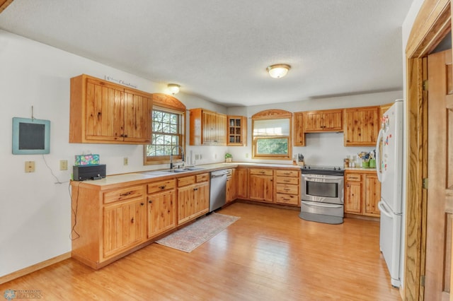 kitchen with appliances with stainless steel finishes, a sink, light wood finished floors, light countertops, and a textured ceiling