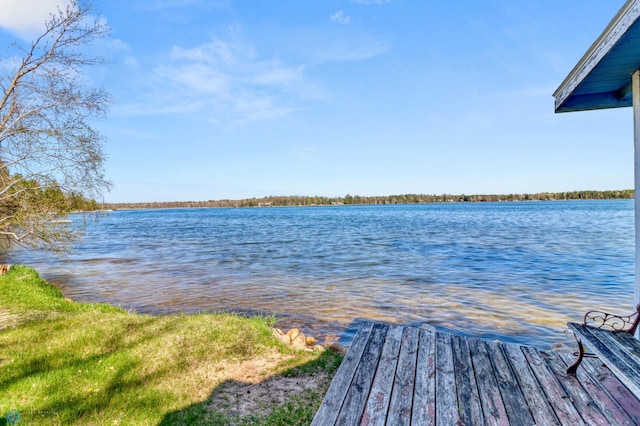 dock area with a water view