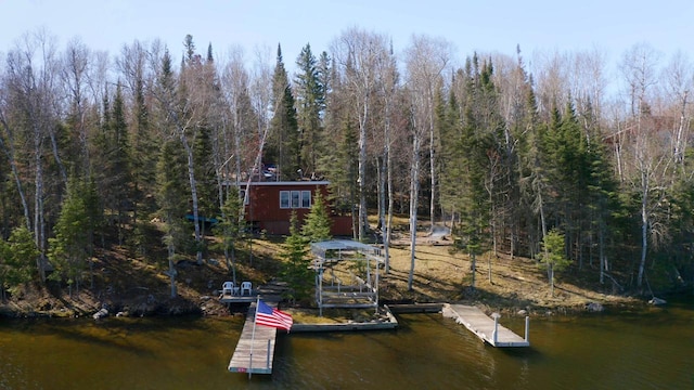 3291 Thomas Rd, Greenwood Twp, MN 55790 - dock area with a water view and a view of trees