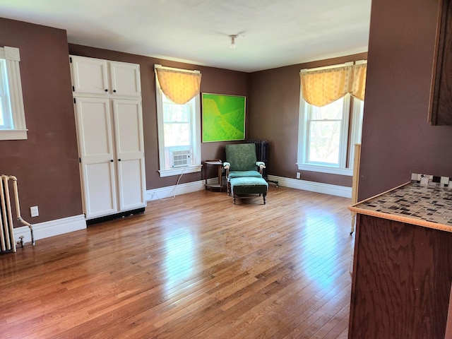 21 3rd St E, Ada, MN 56510 - living area with plenty of natural light, light wood-style flooring, baseboards, and radiator heating unit