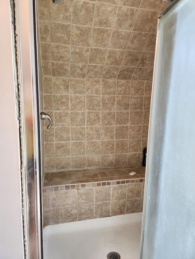 21 3rd St E, Ada, MN 56510 - bathroom with a shower stall