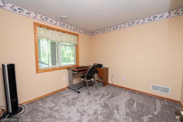155 Palomino Ln, Lino Lakes, MN 55014 - home office featuring baseboards, carpet floors, and a textured ceiling