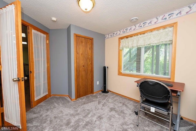 155 Palomino Ln, Lino Lakes, MN 55014 - office area with a textured ceiling, carpet flooring, and baseboards