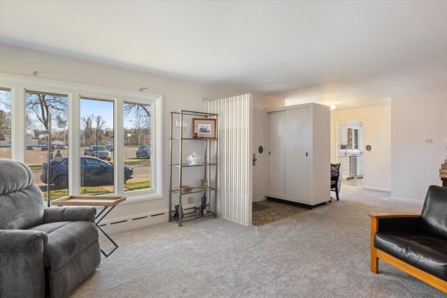 515 23rd St, Hibbing, MN 55746 - photo 15