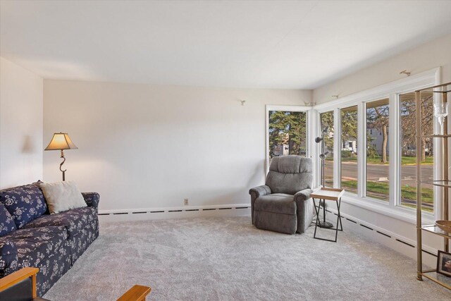 515 23rd St, Hibbing, MN 55746 - photo 17