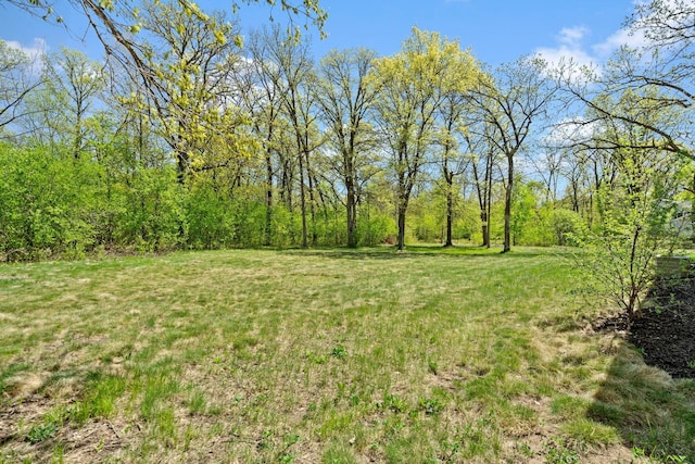 view of grassy yard