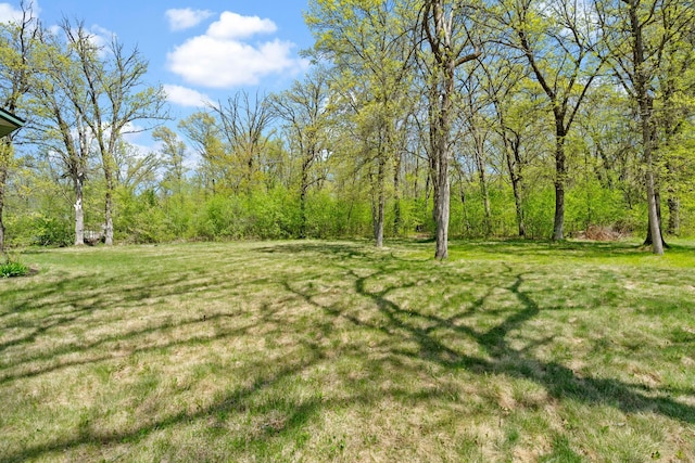 view of green lawn