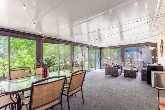 sunroom with carpet flooring