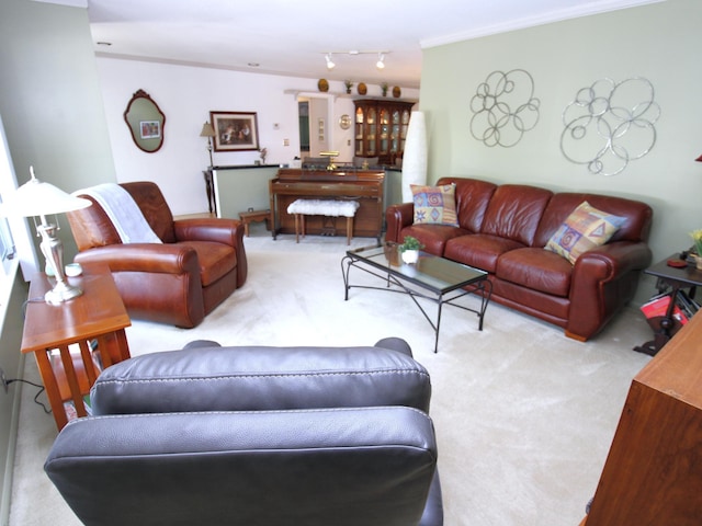 living area featuring carpet