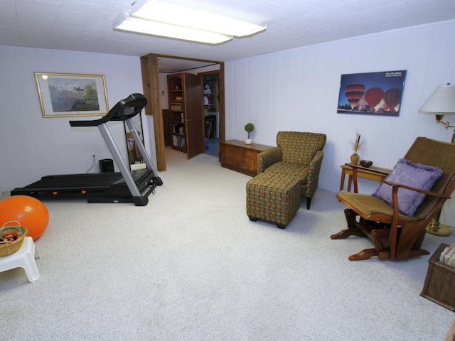 exercise room featuring carpet floors