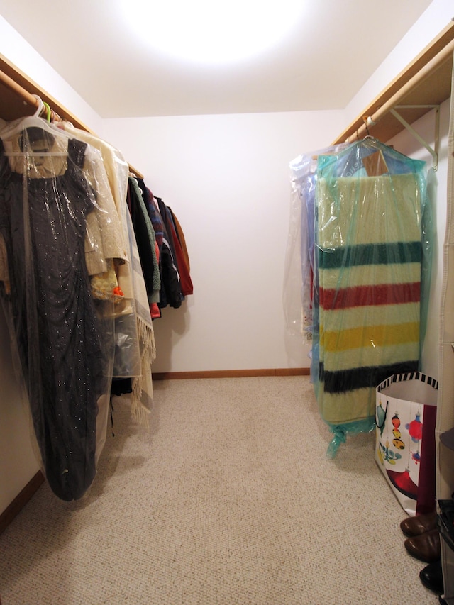 spacious closet featuring carpet