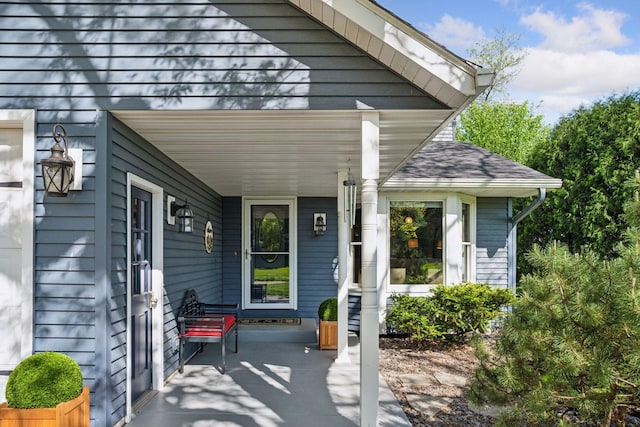 10547 Hollister Ave NW, Maple Lake, MN 55358 - property entrance featuring a porch