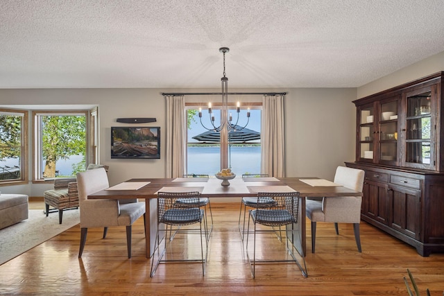 10547 Hollister Ave NW, Maple Lake, MN 55358 - dining room with a chandelier, wood finished floors, and a textured ceiling