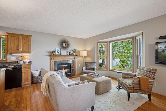 10547 Hollister Ave NW, Maple Lake, MN 55358 - living area featuring light wood-style floors, a high end fireplace, and a textured ceiling