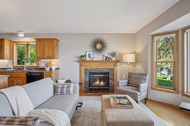 10547 Hollister Ave NW, Maple Lake, MN 55358 - living room with light wood-type flooring, healthy amount of natural light, a premium fireplace, a textured ceiling, and baseboards