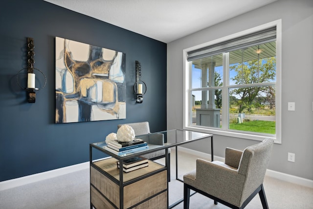 9587 Jada Way, Elko New Market, MN 55020 - home office featuring carpet flooring and baseboards