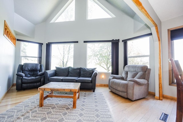 35445 County Highway 36, Vergas, MN 56587 - living area with light wood finished floors, baseboards, and high vaulted ceiling