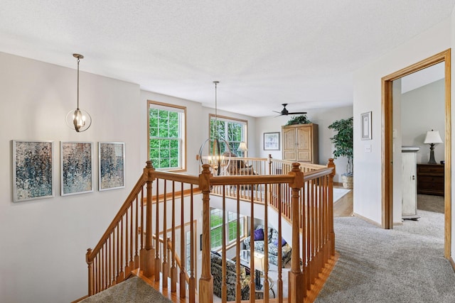 2715 Autumn Woods Dr, Chaska, MN 55318 - stairway featuring carpet, a chandelier, baseboards, and a textured ceiling