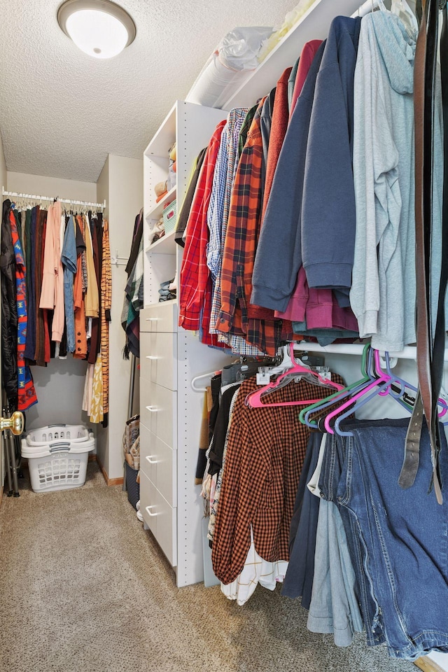 2715 Autumn Woods Dr, Chaska, MN 55318 - spacious closet with carpet