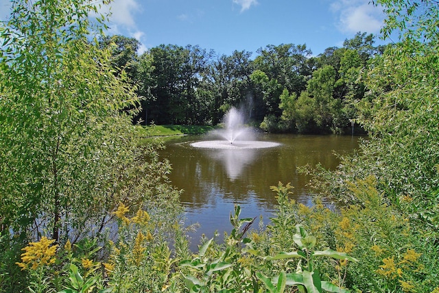 2715 Autumn Woods Dr, Chaska, MN 55318 - water view