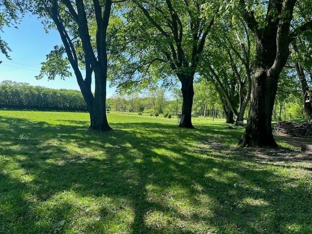 14717 Able St NE, Ham Lake, MN 55304 - view of grassy yard