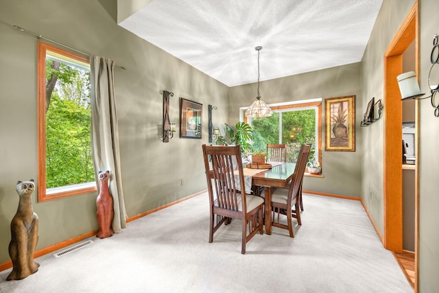 1716 Golf View Dr, Buffalo, MN 55313 - photo 12
