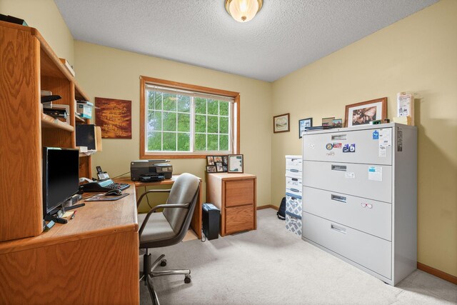 1716 Golf View Dr, Buffalo, MN 55313 - photo 20