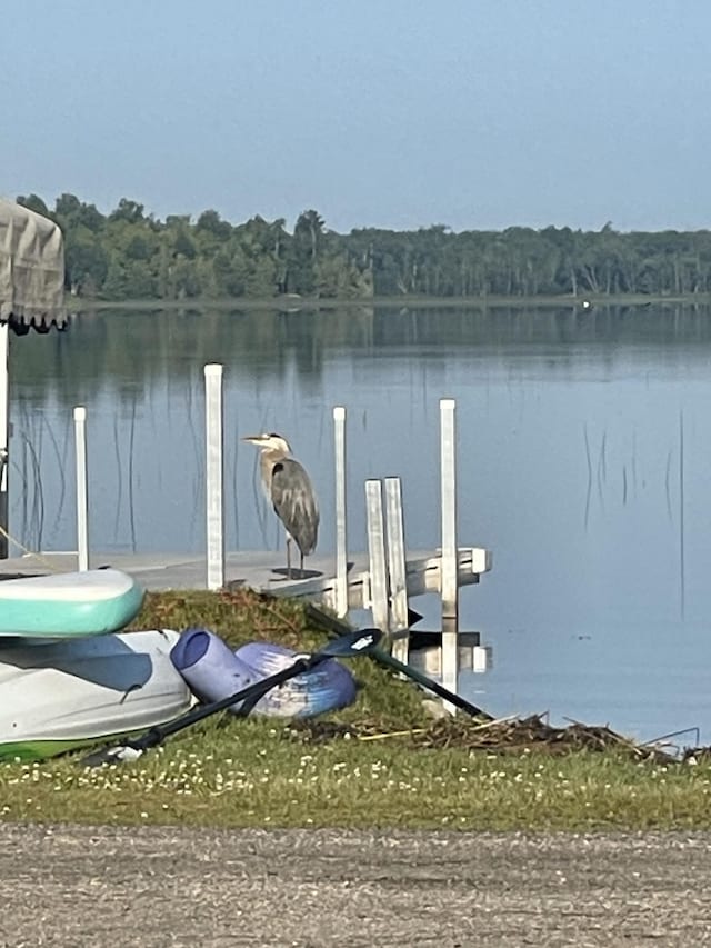 dock area featuring a water view and a view of trees