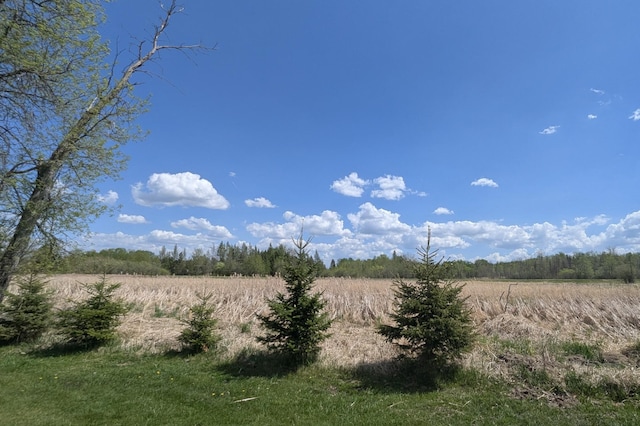 view of undeveloped land featuring rural landscape