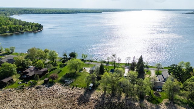 bird's eye view of a nearby body of water