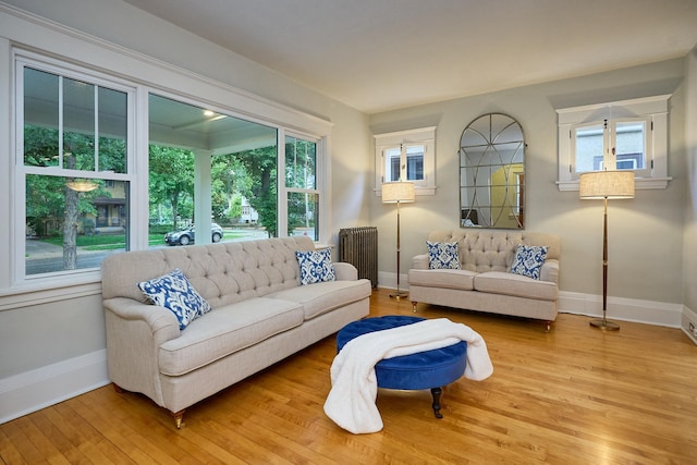 4448 Aldrich Ave S, Minneapolis, MN 55419 - living room featuring light wood finished floors and radiator
