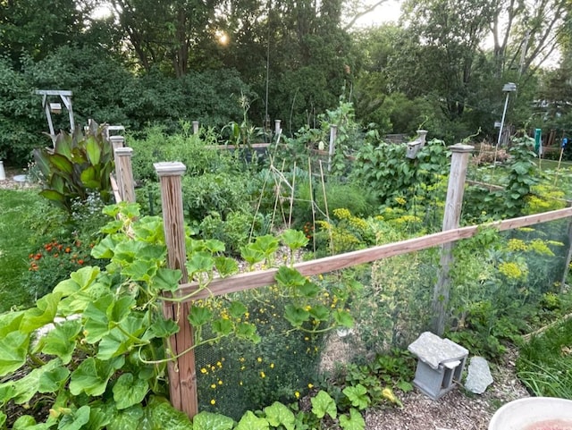 2479 Oxford St N, Roseville, MN 55113 - view of yard featuring a garden