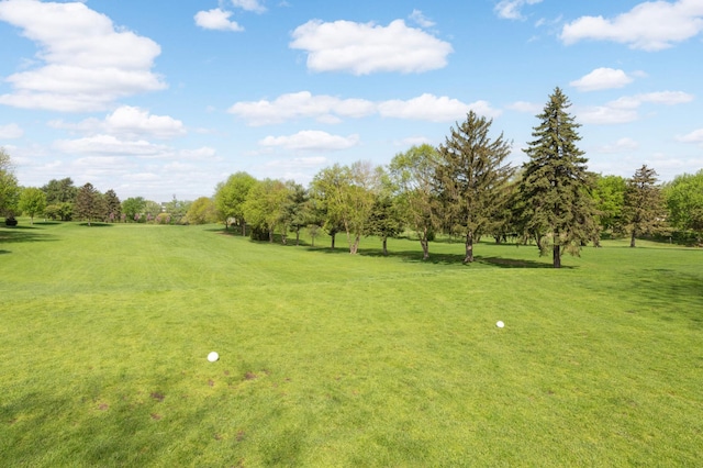 2479 Oxford St N, Roseville, MN 55113 - view of green lawn with view of wooded area