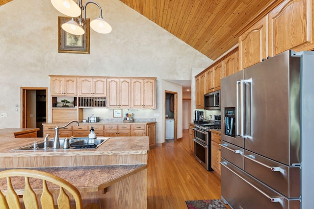 1823 313th Ave NE, Isanti Twp, MN 55008 - kitchen with stainless steel appliances, a sink, high vaulted ceiling, wooden ceiling, and light wood-style floors